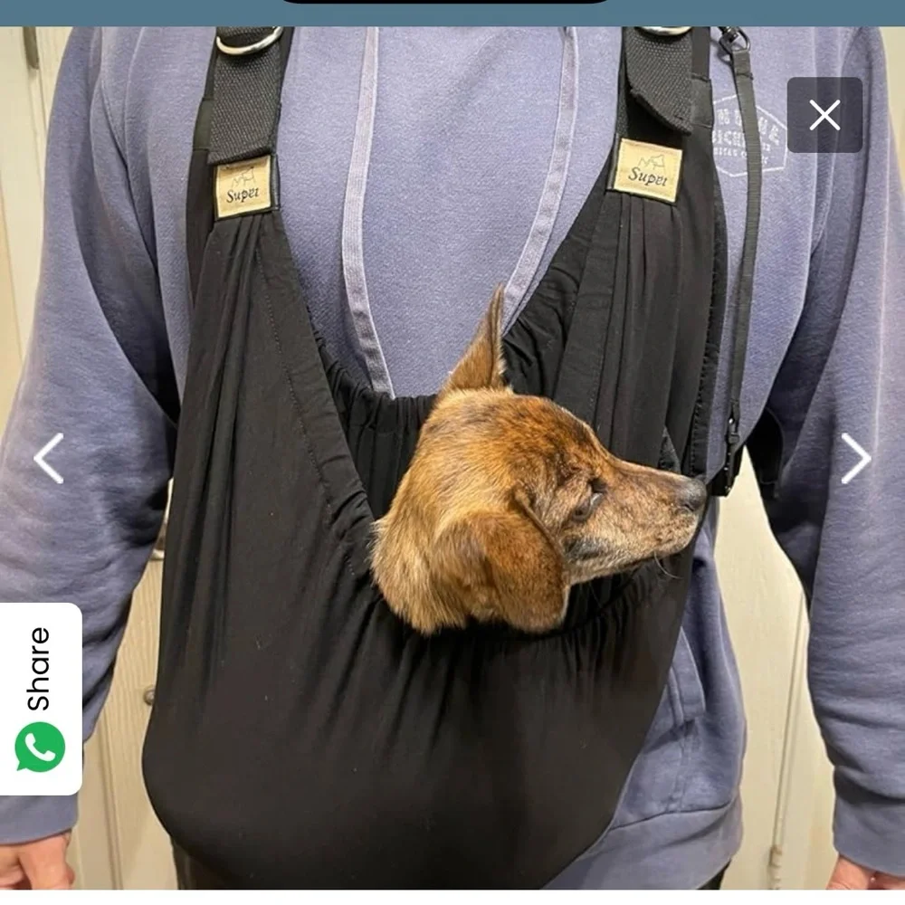Supet gray Small/Medium Dog Carrier, wear as sling or over both shoulders! NWOT!